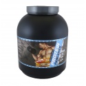 TITANUS protein pancakes (2000 g) 